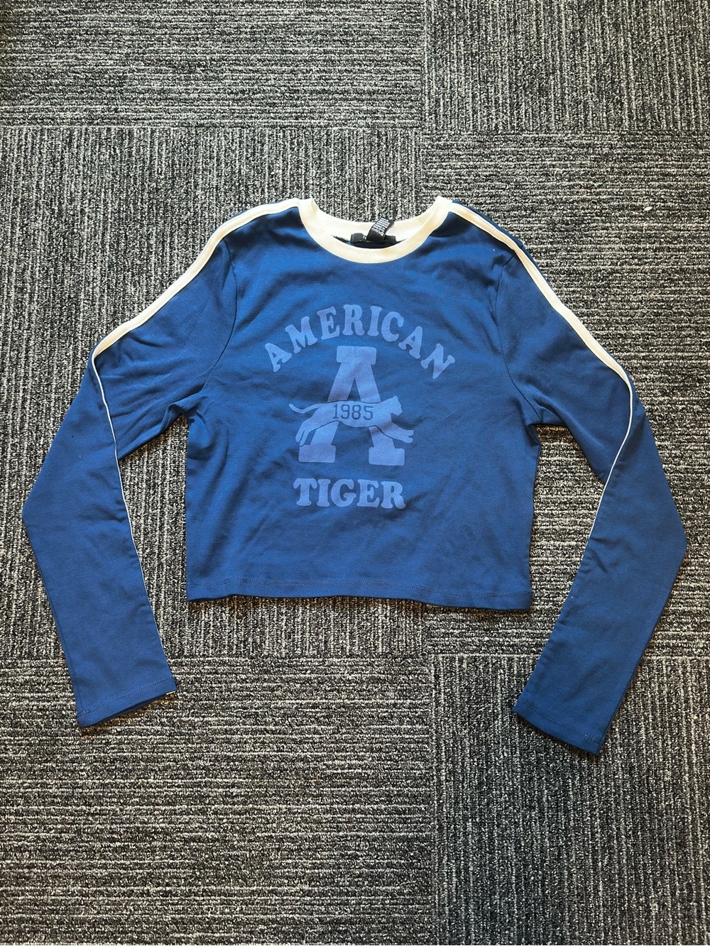 Forever 21 Blue Long-Sleeve Cropped Tee with White Trim